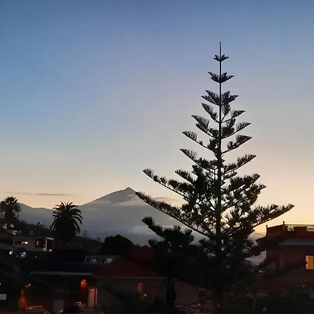Oasis De Paz