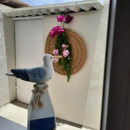 Oasis De Paz *