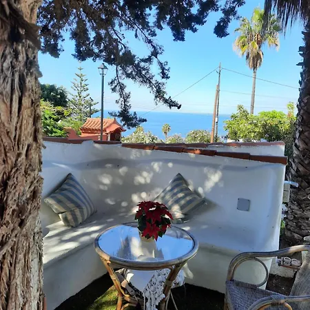 Oasis De Paz *